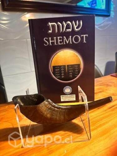 Torah más Shofar importado de Israel- Sinaisefer