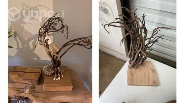 Esculturas del Mar ne base Nativa