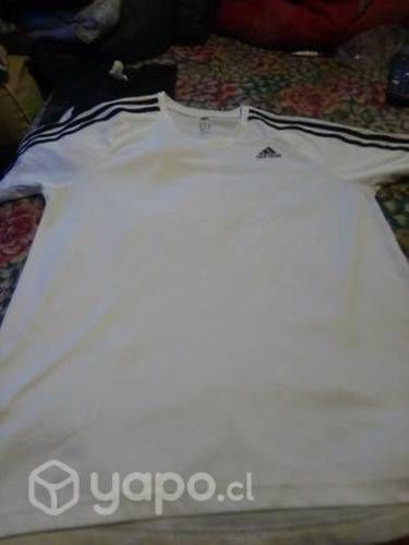 Poleras perfectas condiciones