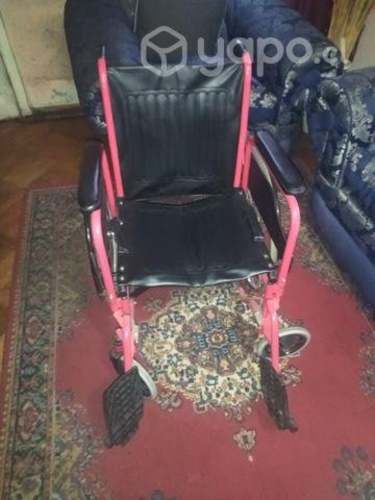 Silla de ruedas y Burrito
