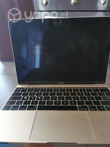 MacBook retina 12 Early 2015 pantalla defectuosa