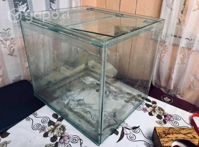 Acuario para peces