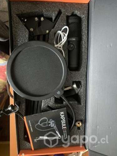 Micrófono profesional