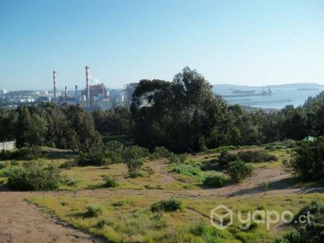 Sitio el bosque en sector la greda puchuncavi