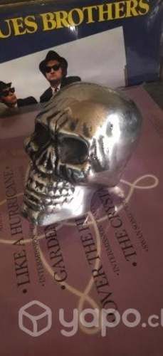 Calavera de aluminio
