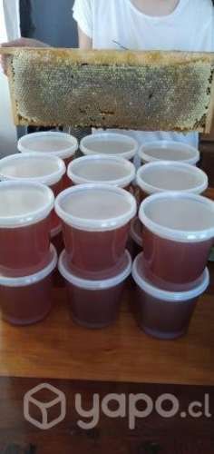 Miel de ulmo 100% natural