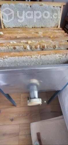 Miel de ulmo 100% natural