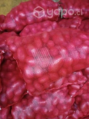 Semilla papas patagonia