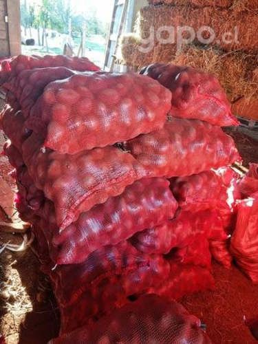 Semilla papas patagonia