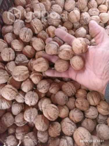 Nueces de temporada