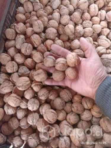 Nueces de temporada