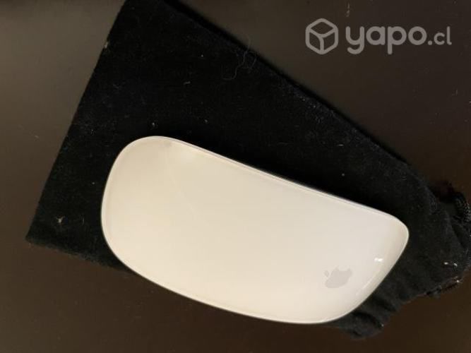 Magic Mouse 1. Buen estado
