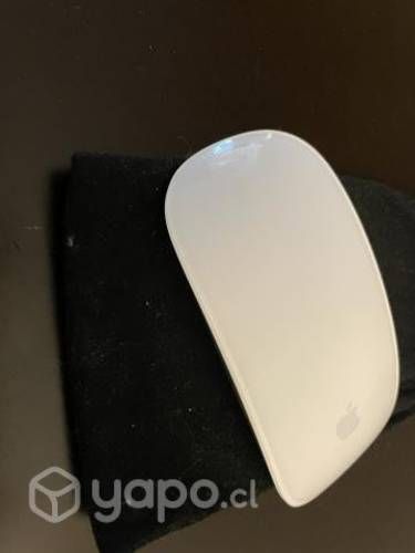 Magic Mouse 1. Buen estado