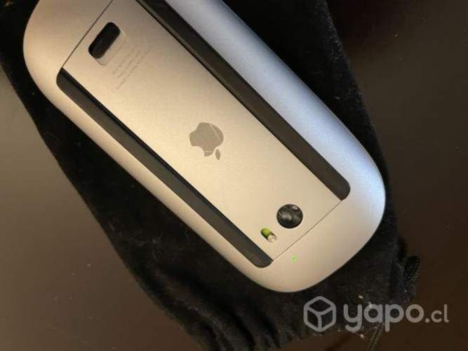 Magic Mouse 1. Buen estado