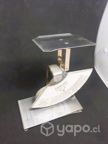 Antigua Pesa Postal Marca Hamilton Usa