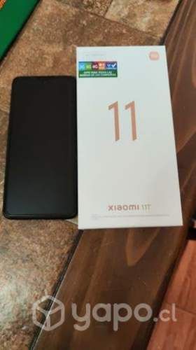 Celular xiaomi 11