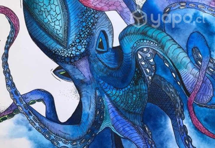 Cuadro Pulpo Marino