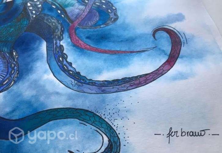 Cuadro Pulpo Marino