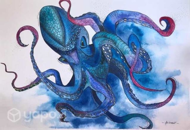 Cuadro Pulpo Marino