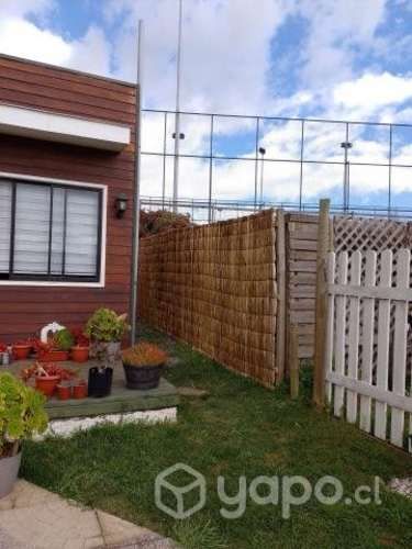 Instalación de totora