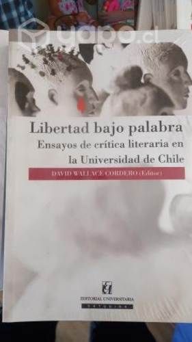 Libertad bajo palabra