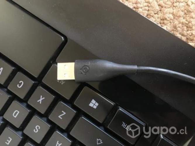 Teclado gamer Steel series apex raw pro