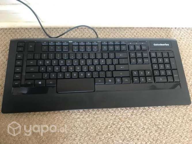 Teclado gamer Steel series apex raw pro