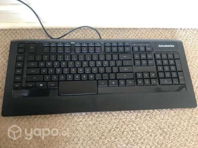 Teclado gamer Steel series apex raw pro