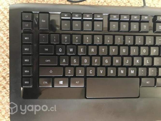 Teclado gamer Steel series apex raw pro