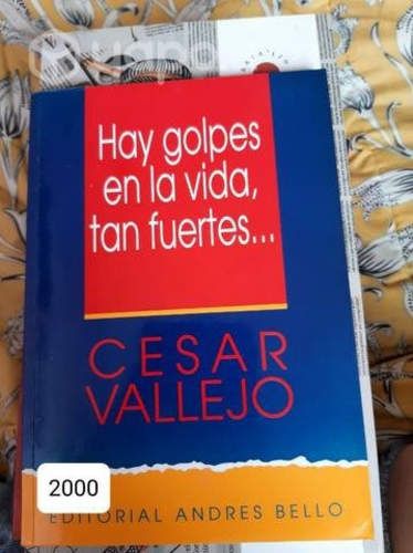 Libro de poemas