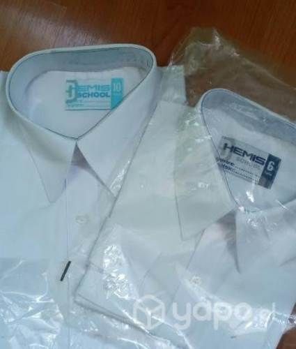 Camisa colegio, licenciatura kínder