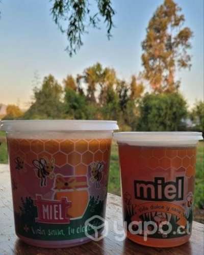 Miel multifloral