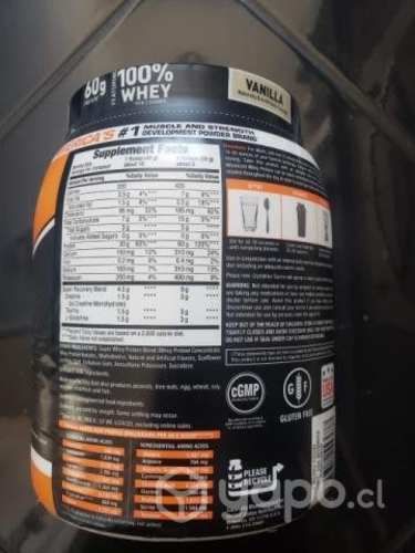 Whey Protein