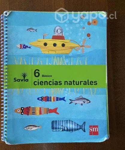 Libros 6to básico