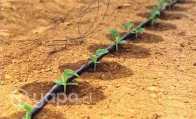 Riego automatico- empastadas-jardines