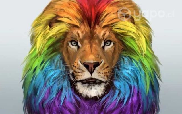 Cuadro Decorativo León Pintado