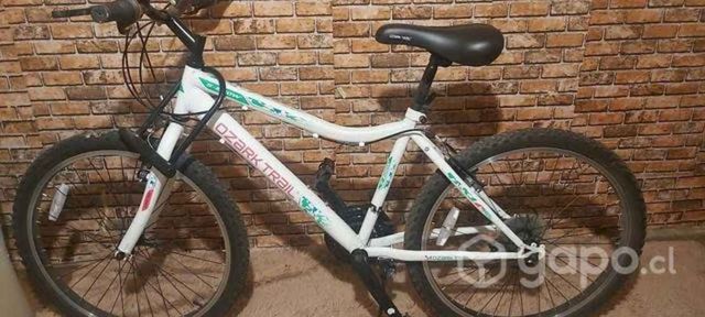 Bicicleta Aro 24