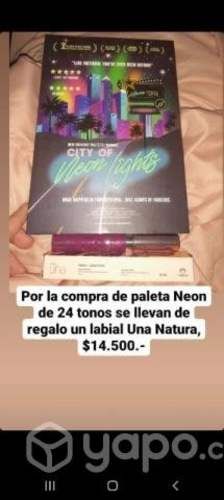 paleta de maquillaje más regalo