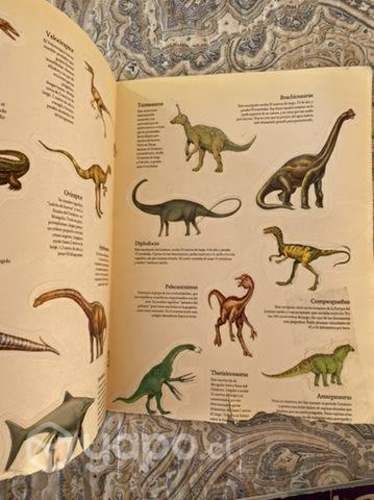 Libro Dinosaurios