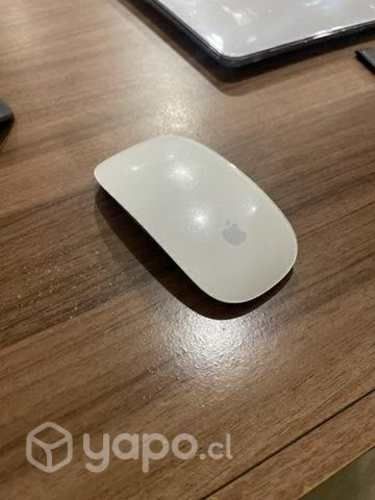 Magic Mouse 1era generación