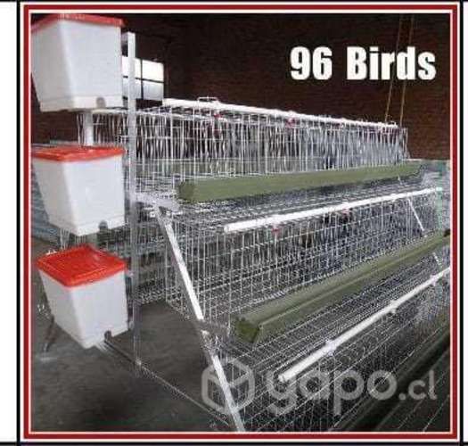 Jaula de postura gallina