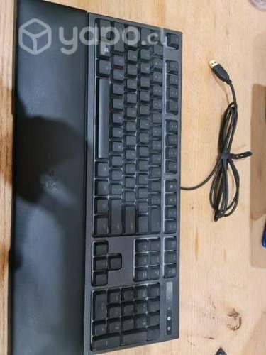Teclado Razer Ornata Chroma