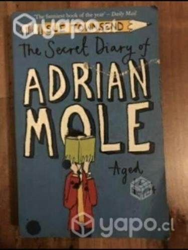 The Secret Diary of Adrian Mole