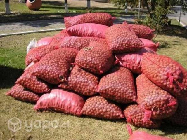 Nueces de la temporada