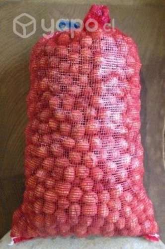 Nueces de la temporada