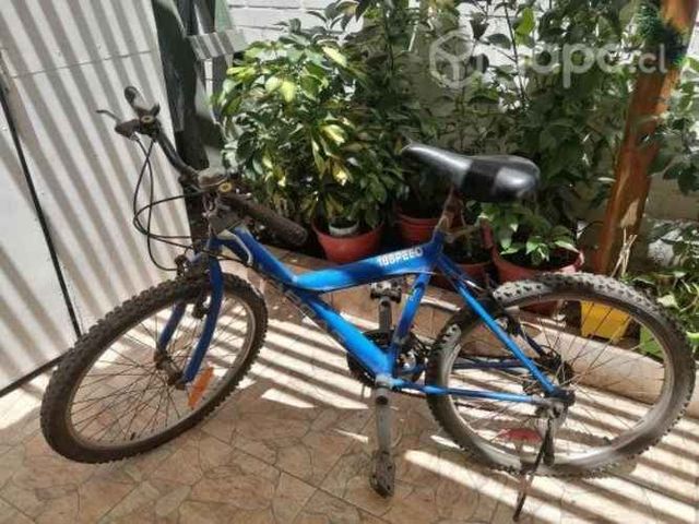 Bicicleta MTB vargas aro 24