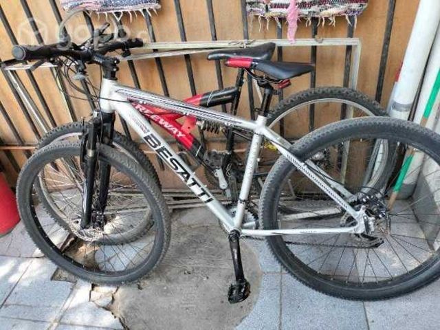 Bicicleta Bessati color gris aro 27.5