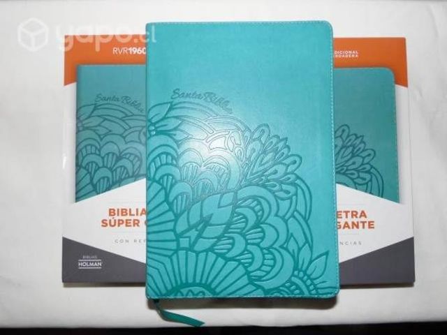 Biblia Letra Súper Gigante