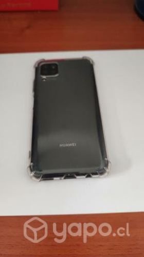 Por renovación equipo