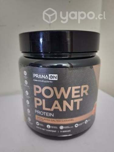 Power plant protein salted caramel